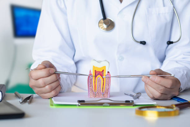 Best Weekend Emergency Dentist in South Hutchinson, KS